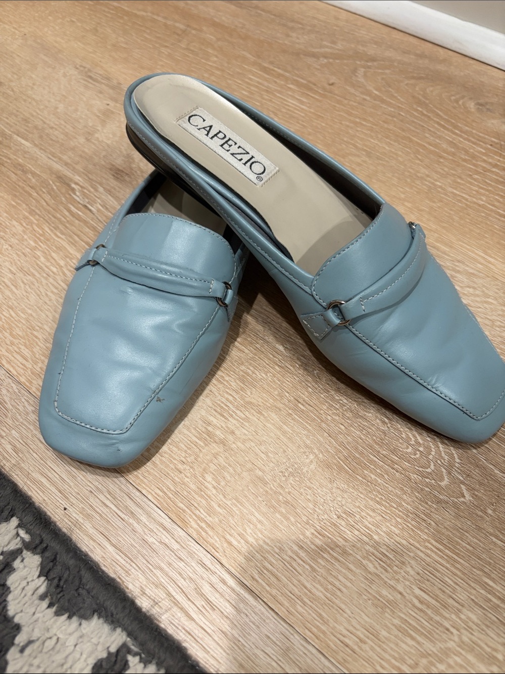 Capezio Powder Blue Slip-On Mules with Bit Detail